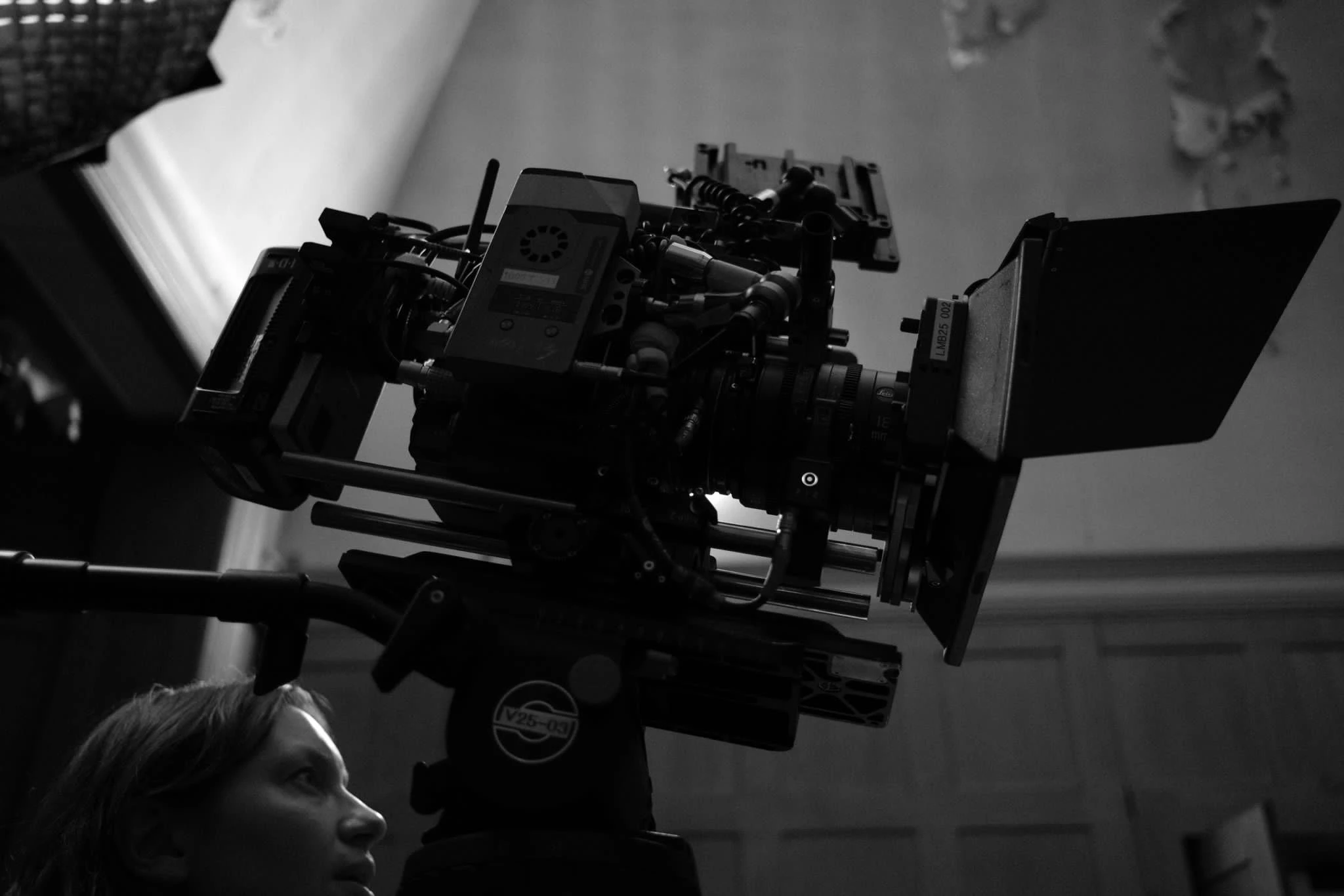 backstage the world is your blobfish 1 collide creative agency